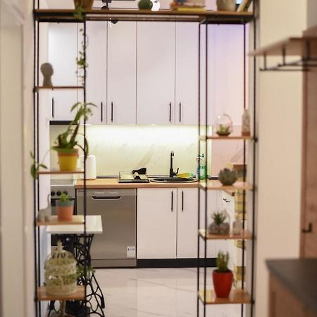Garden Apartment - Oaza U Centru Grada نوفي ساد المظهر الخارجي الصورة