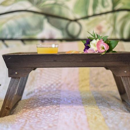 Garden Apartment - Oaza U Centru Grada نوفي ساد المظهر الخارجي الصورة