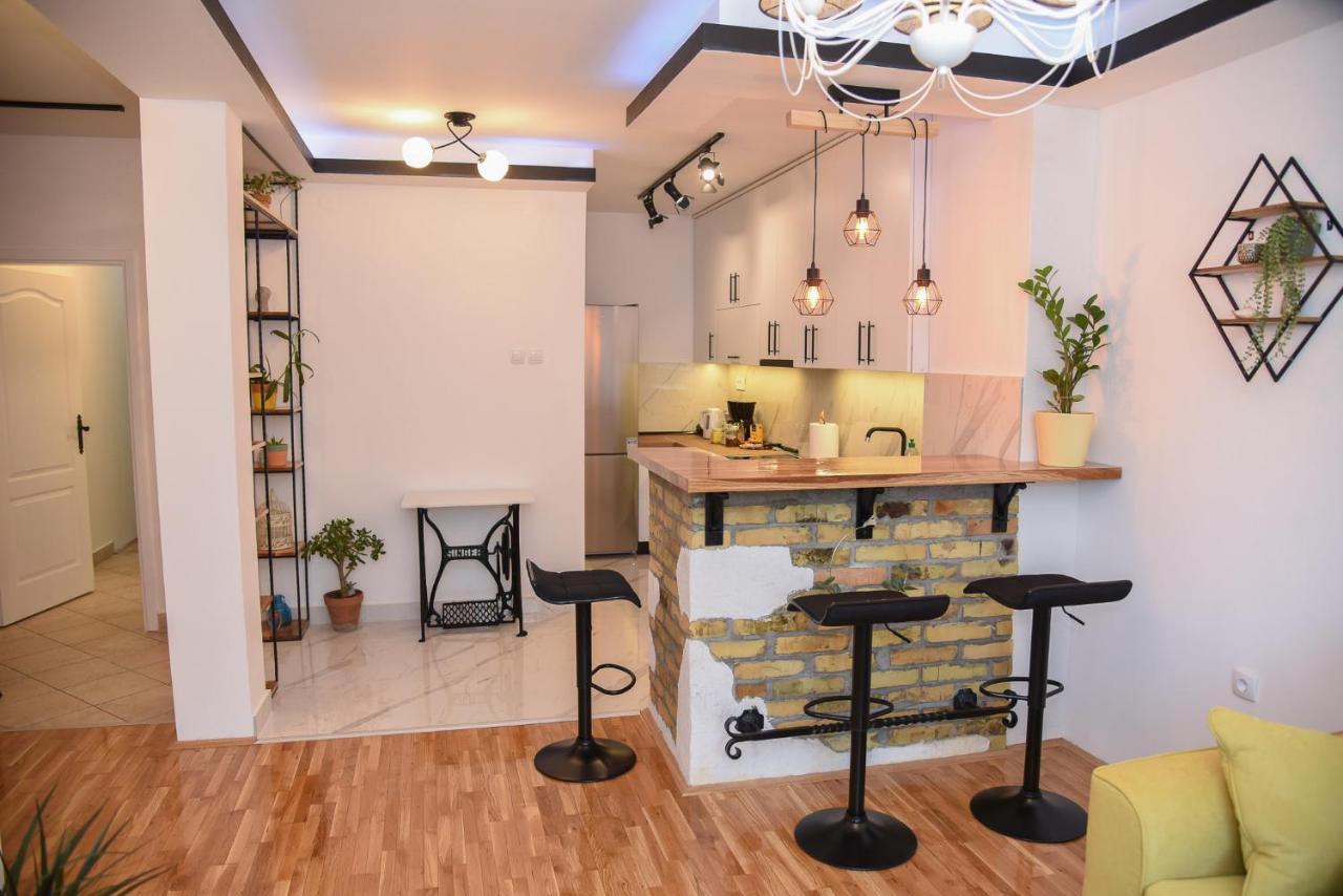 Garden Apartment - Oaza U Centru Grada نوفي ساد المظهر الخارجي الصورة