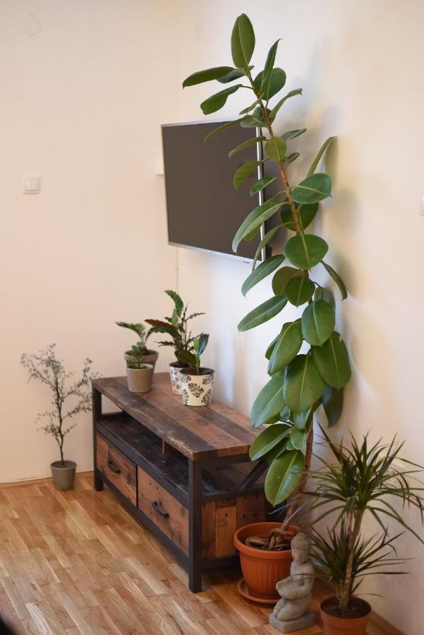 Garden Apartment - Oaza U Centru Grada نوفي ساد المظهر الخارجي الصورة