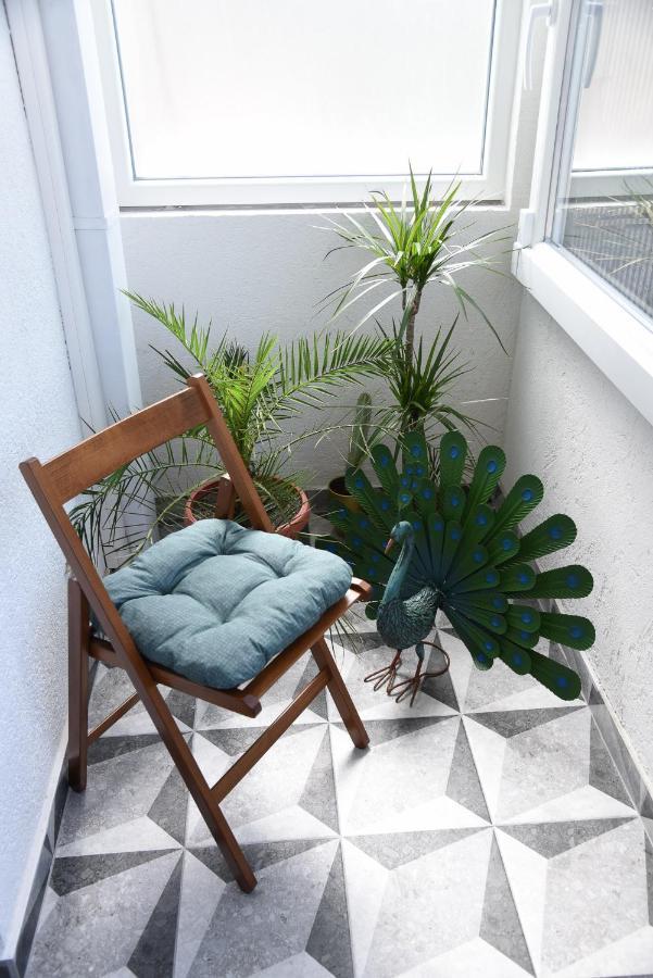 Garden Apartment - Oaza U Centru Grada نوفي ساد المظهر الخارجي الصورة