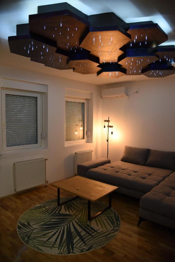 Garden Apartment - Oaza U Centru Grada نوفي ساد المظهر الخارجي الصورة